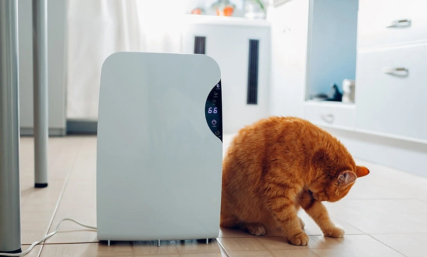 The Crucial Intersection of Programming and UI/UX Design